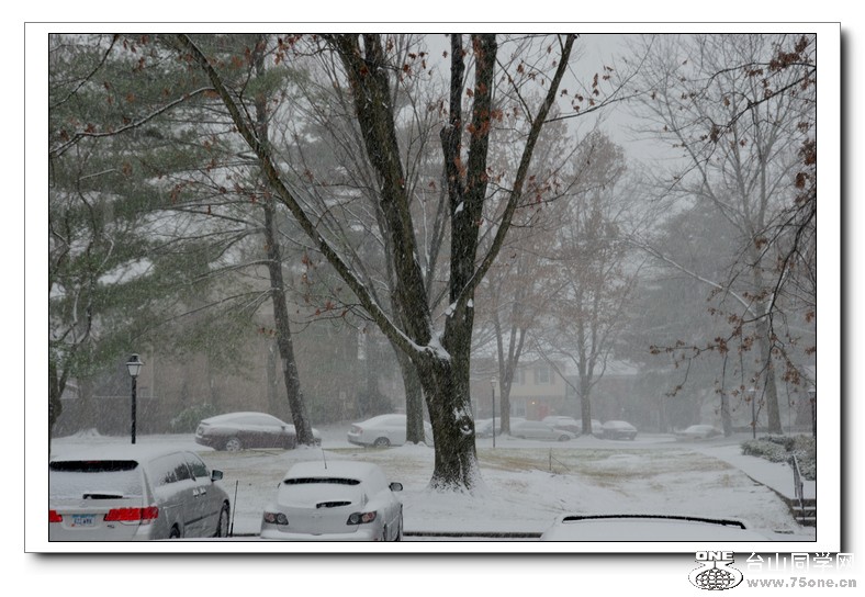 2012.12.22 D.C 186.jpg