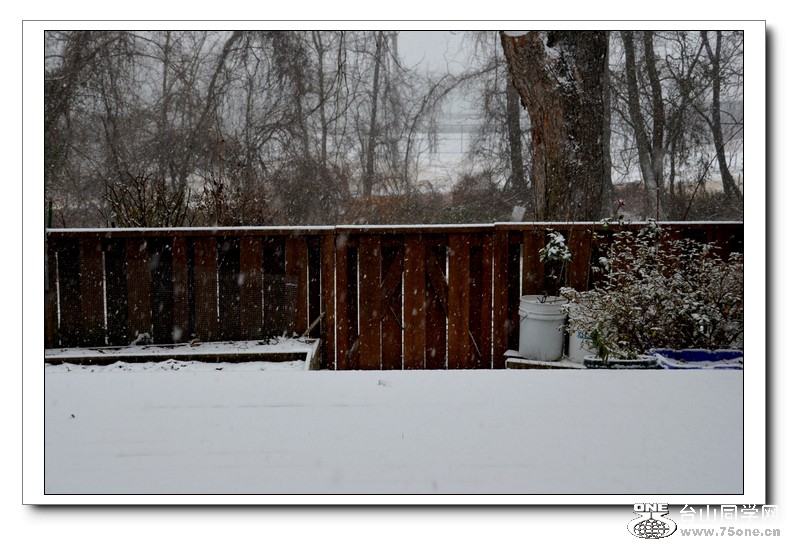 2012.12.22 D.C 181.jpg