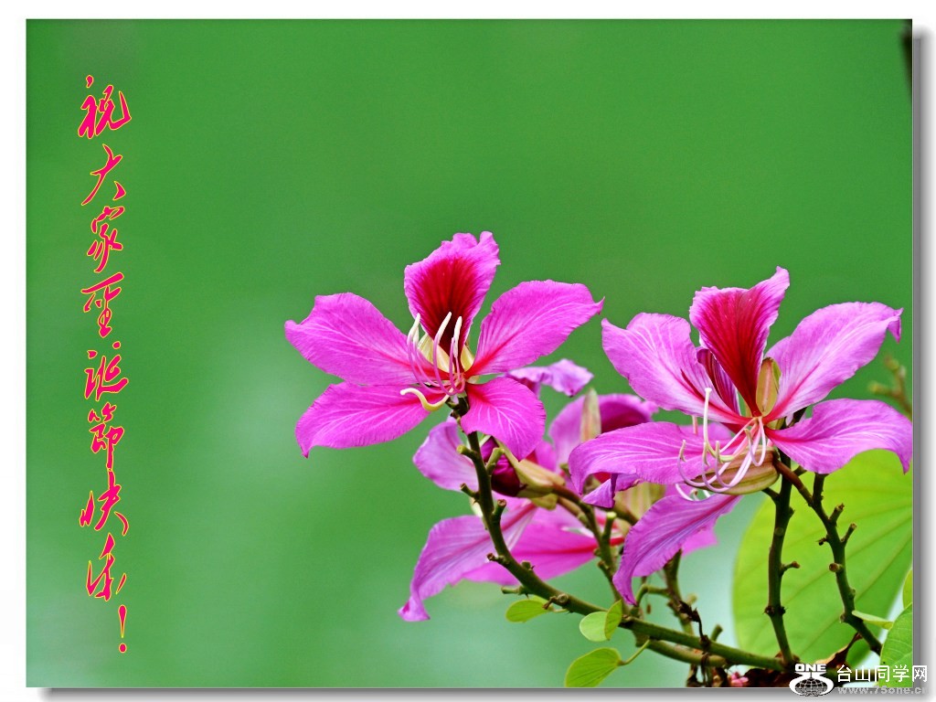 DSC_0447_conew2.jpg
