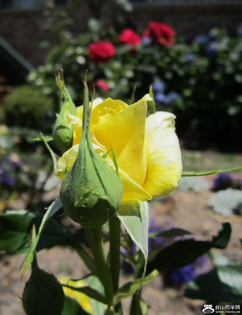 IMG_1872.JPG