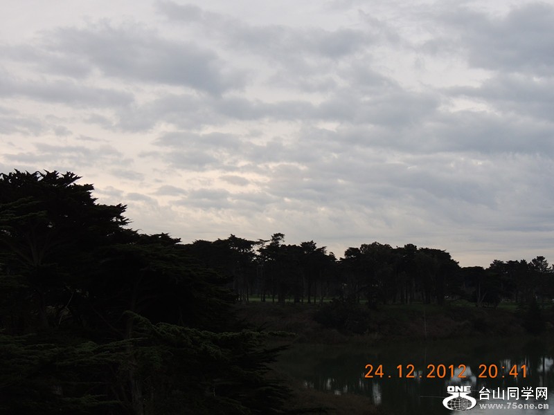 christmas day 008_.jpg