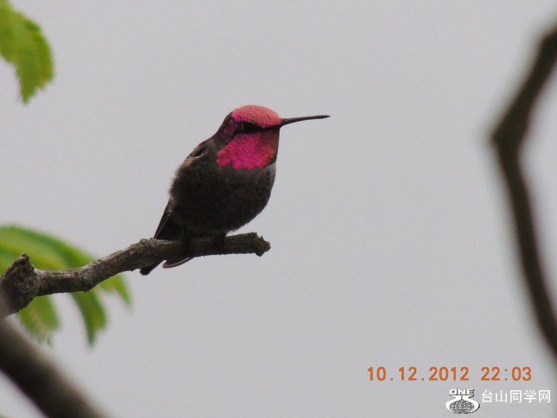 bird 035_.jpg