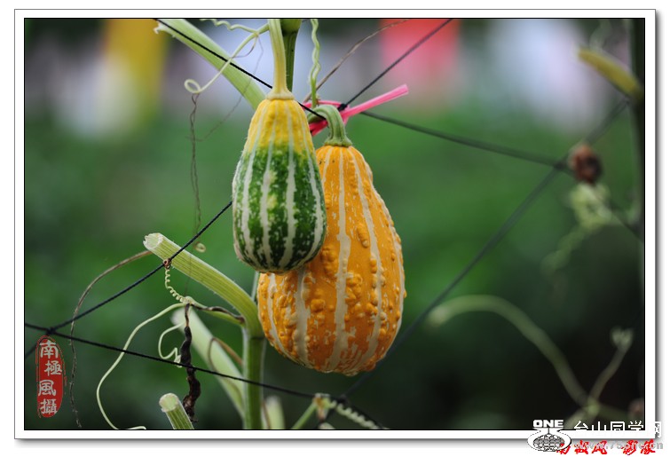 nEO_IMG_2012-12-01 12-13-55Ʒũҵɫӡũ.jpg