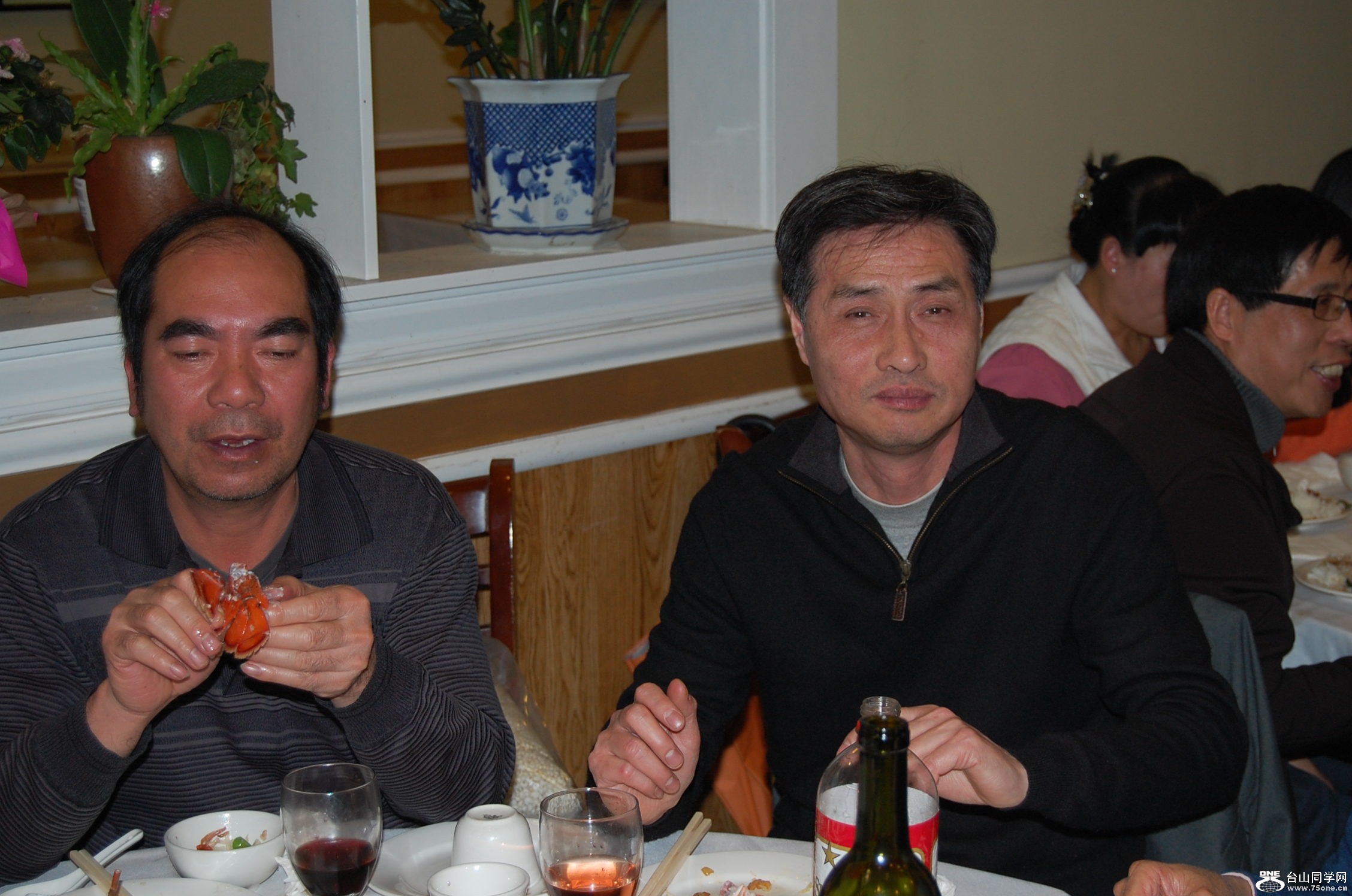 DSC_2011.JPG