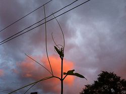 changing cloud (2).jpg