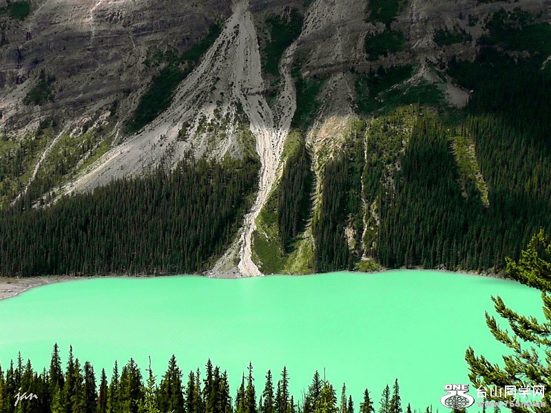 90_3812_31188ee5f3a006b.jpg