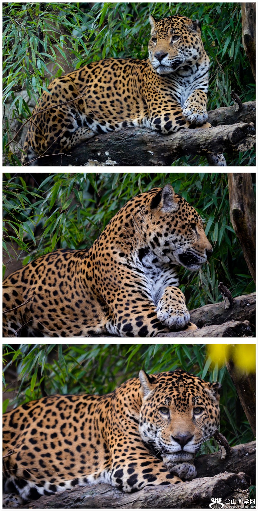 DSC_0135-5.jpg
