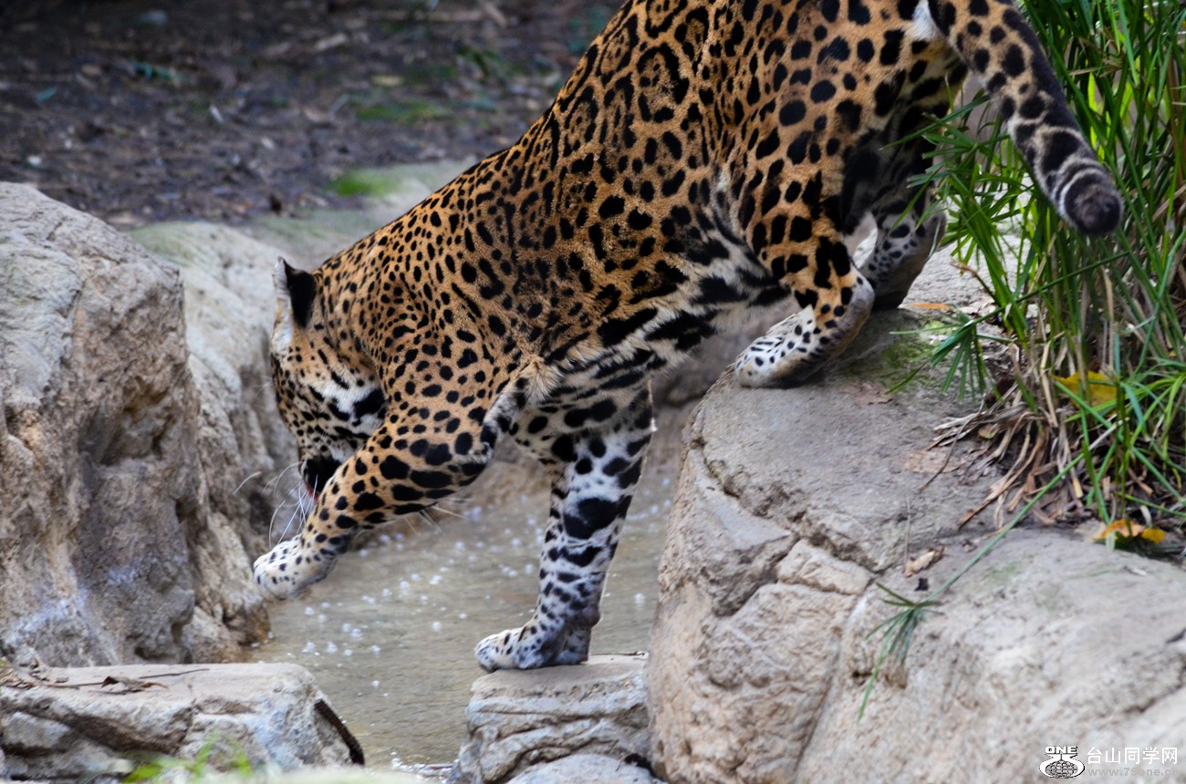 DSC_0389_5.jpg