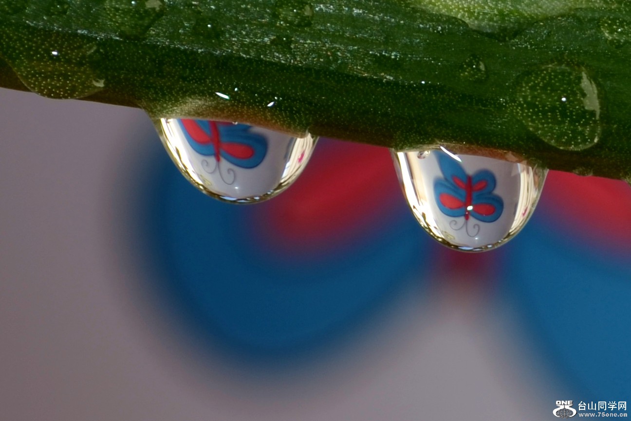 DSC_2908_2.jpg