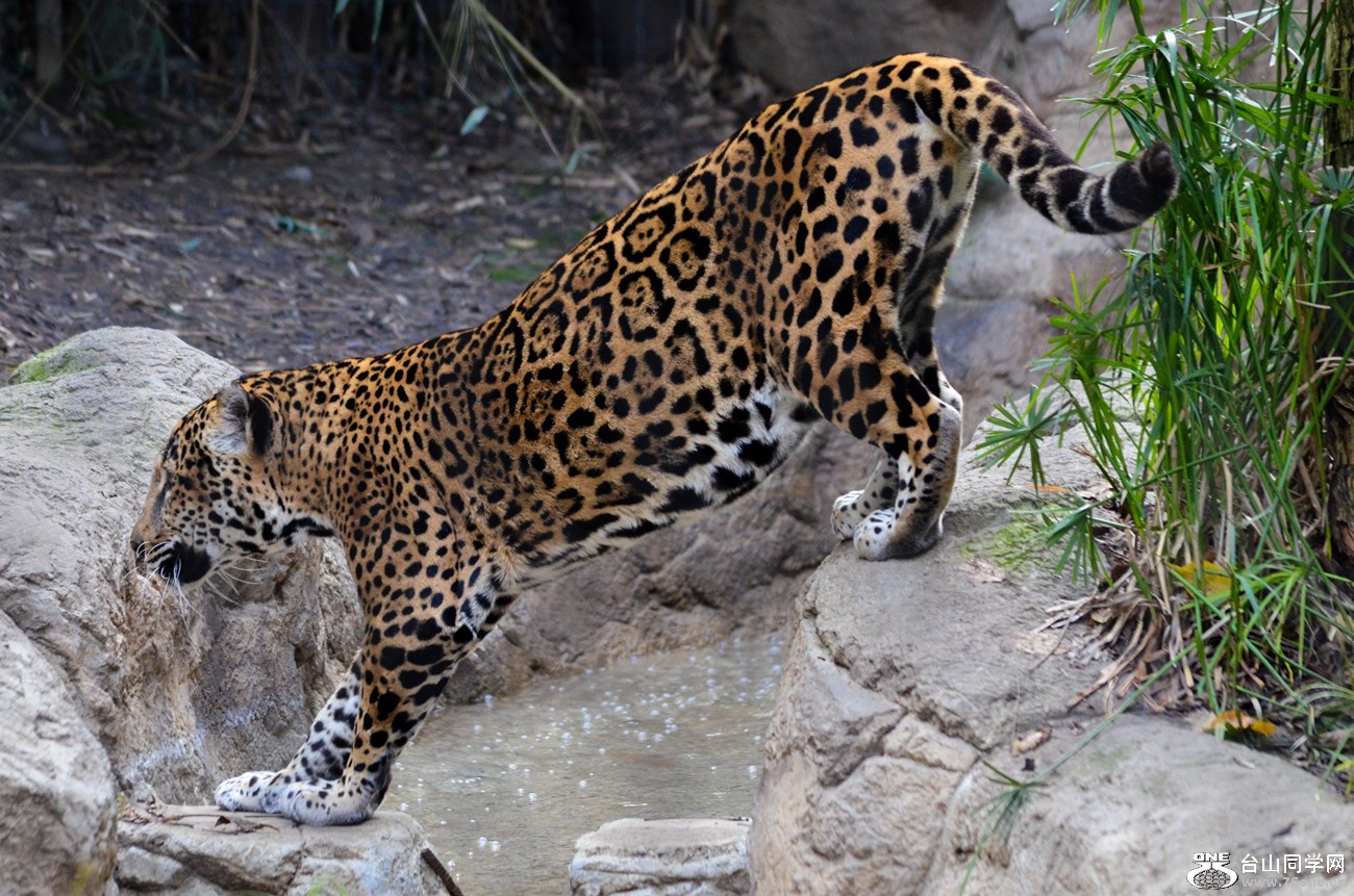 DSC_0391_7.jpg
