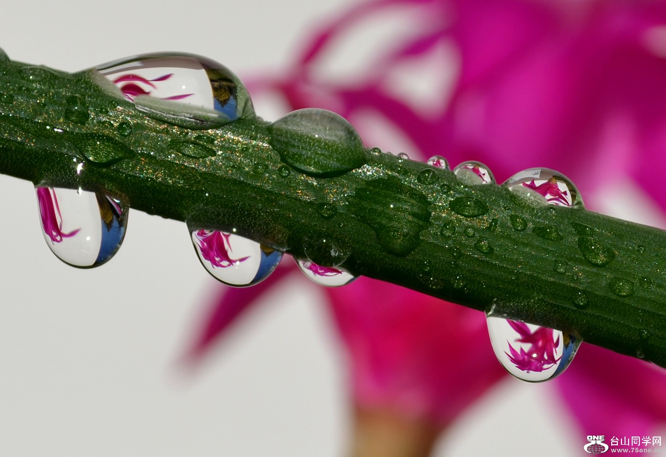 DSC_2351_123.jpg