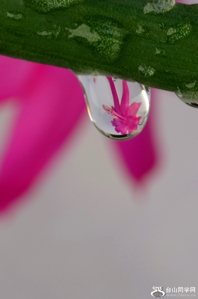DSC_2648_39.jpg