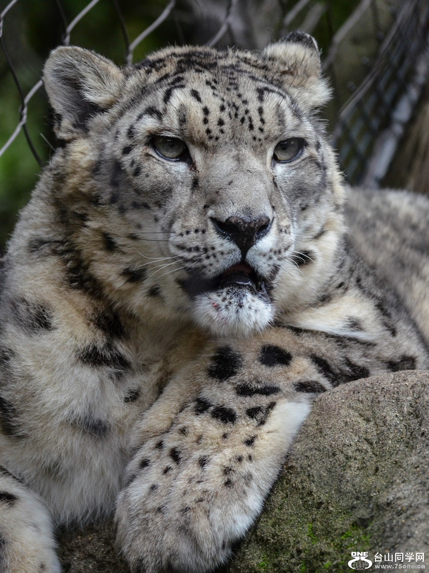 DSC_0472_99.jpg