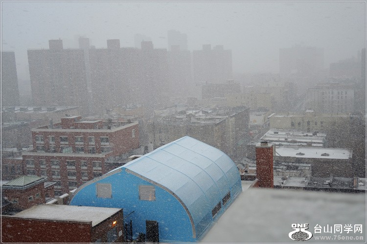 DSCN3007.jpg