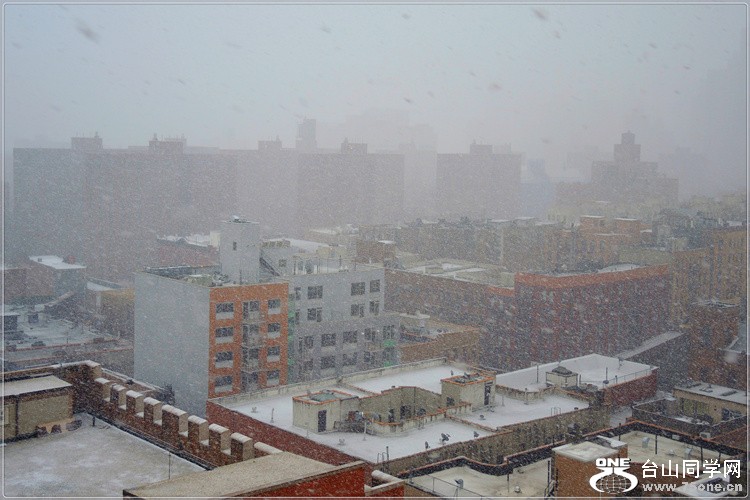 DSCN3005.jpg