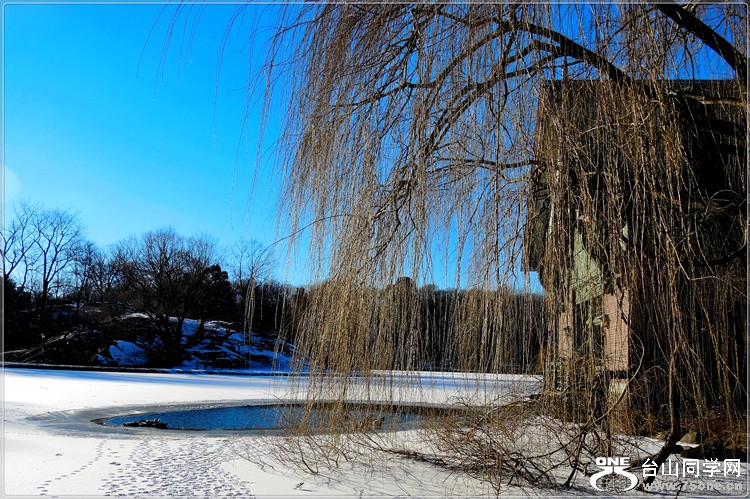 DSCN4043.jpg