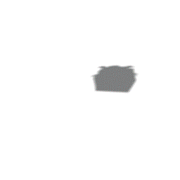 14.gif