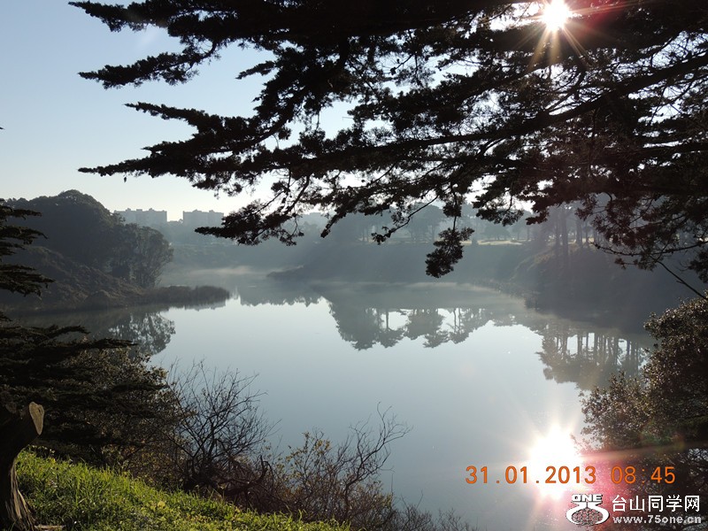 live pictures #3 532_.jpg