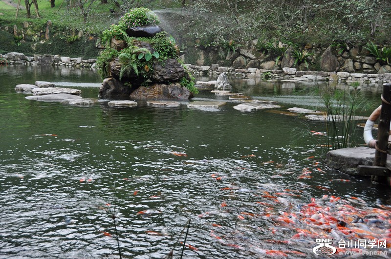 2009 hk n taiwan vacation 336_.jpg