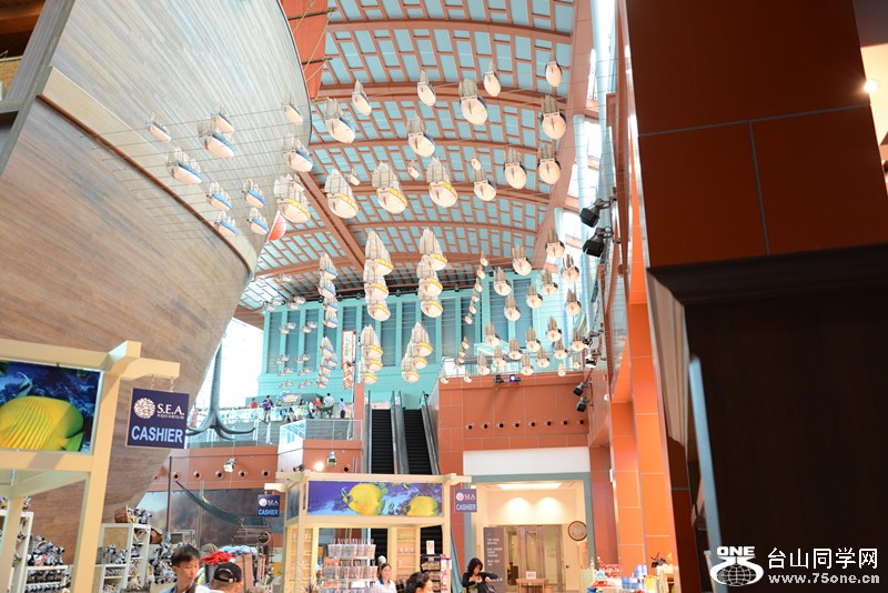 2013 vacation 2201_.jpg