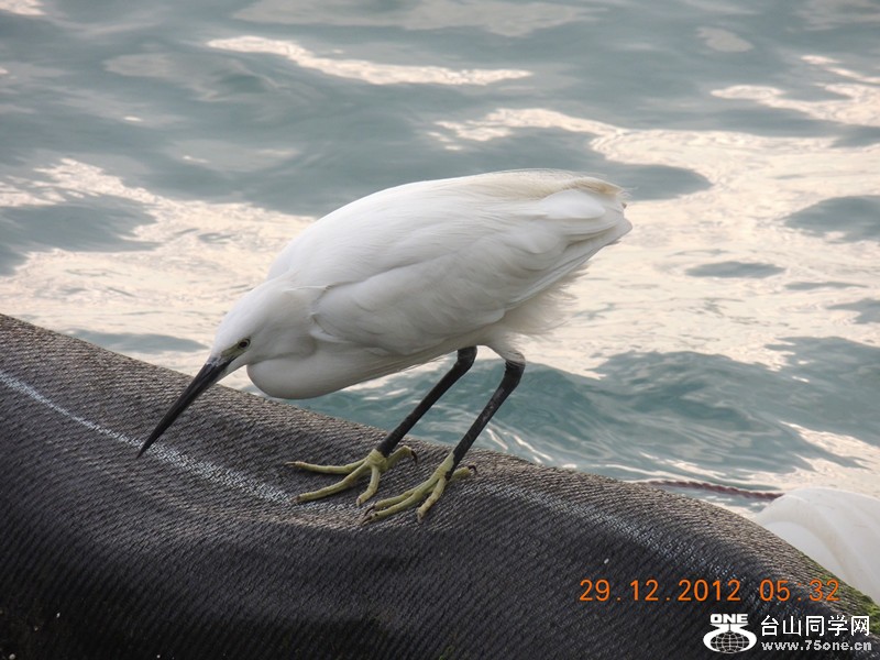 2013 vacation 148_.jpg