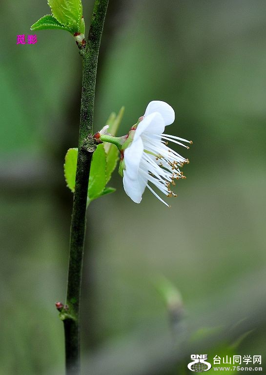 DSC_98030.JPG
