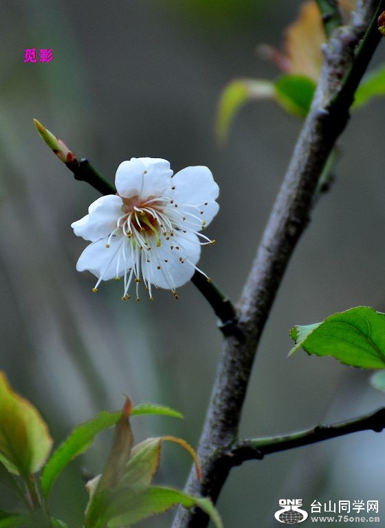 DSC_97823.JPG
