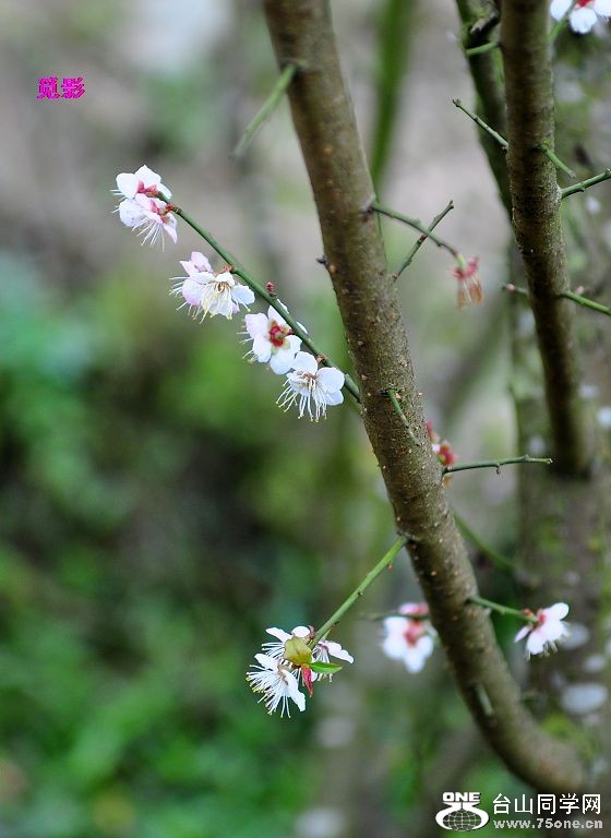 DSC_97689.JPG