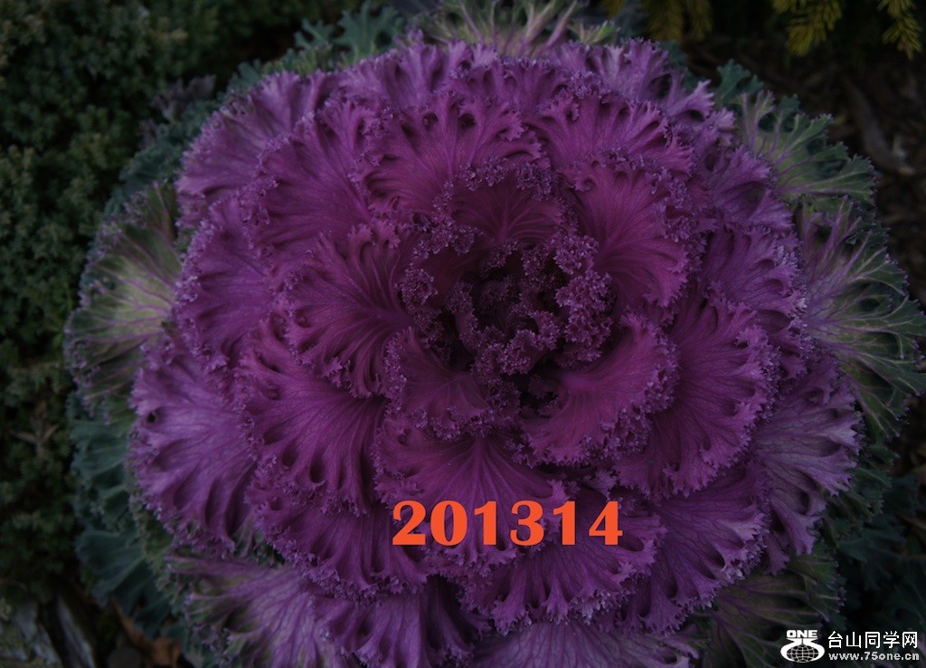 201314bz.jpg