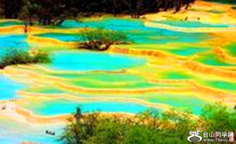 184_35127_fe75dc00128ff1b.jpg