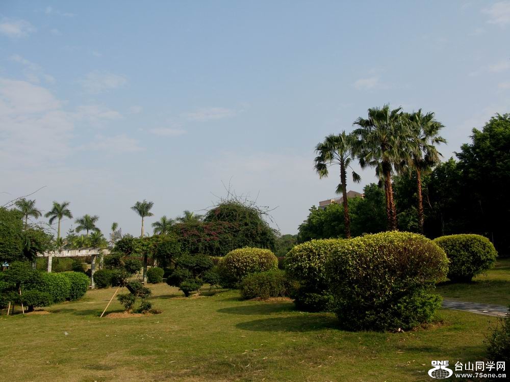 IMG_5849.JPG