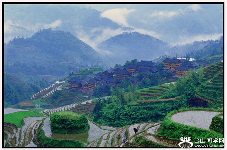 img0081.jpg