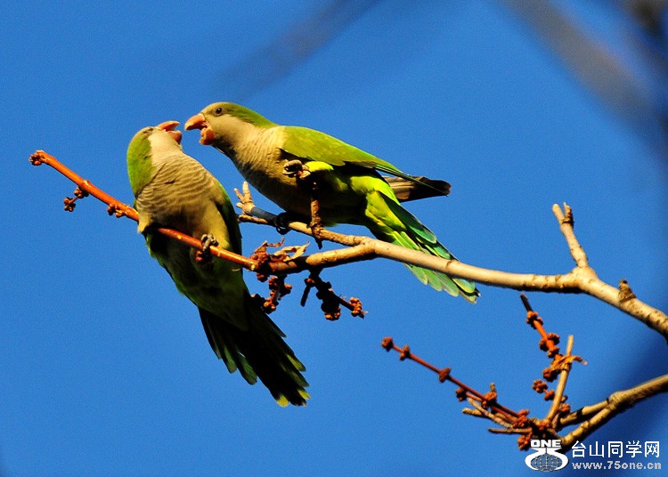 DSC_7571.jpg