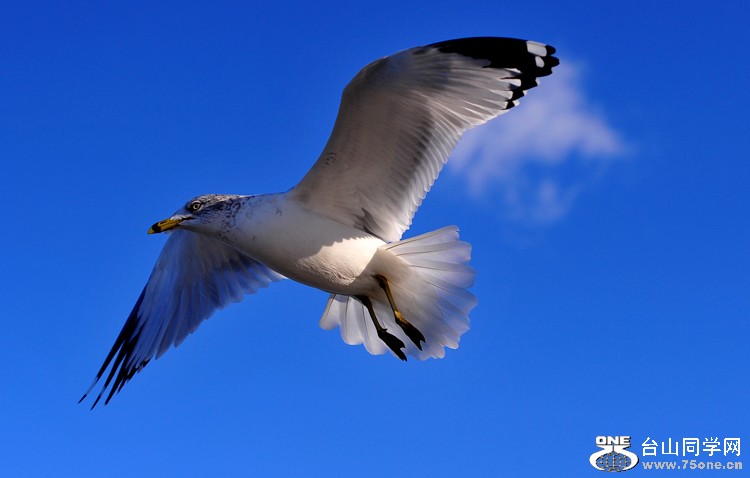DSC_7191.jpg