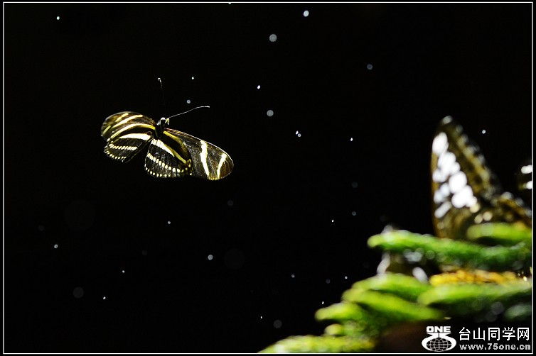 DSC_9884.JPG