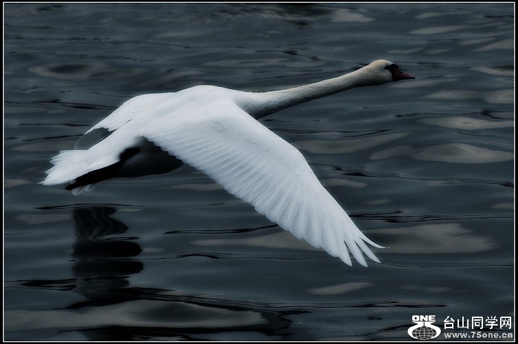 DSC_8252.JPG