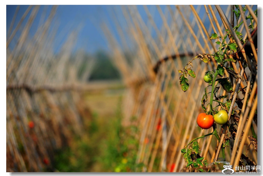 2_2459_ccc4e8b9a2c8652[1].jpg