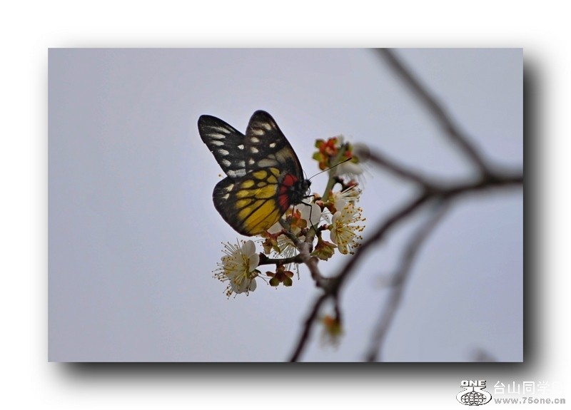 ��Ƭ 0131.jpg