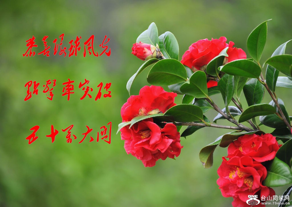 DSC_8649_conew2.jpg