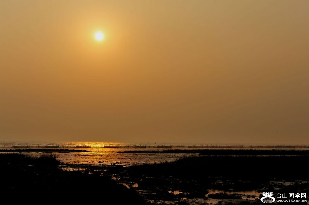 DSC_9080.jpg