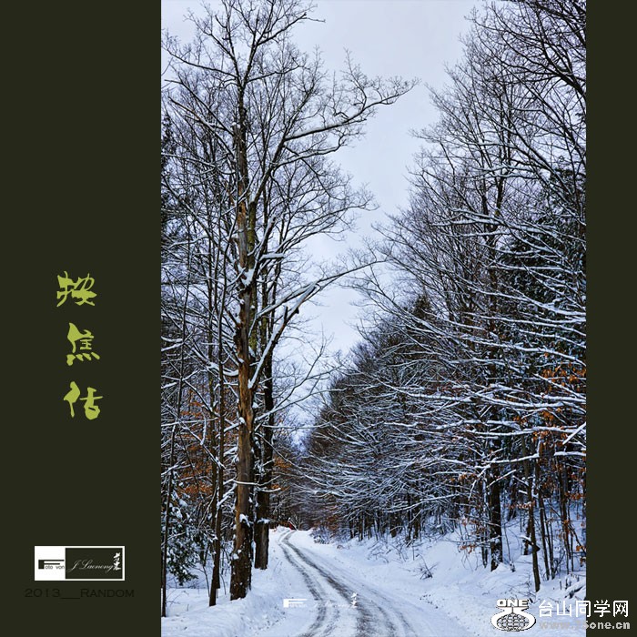 751DSD_6567.jpg