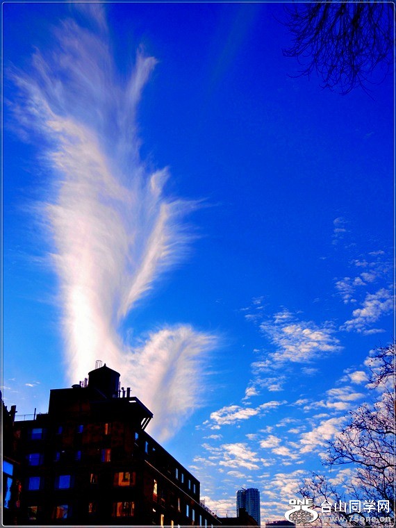 DSCN2993.jpg
