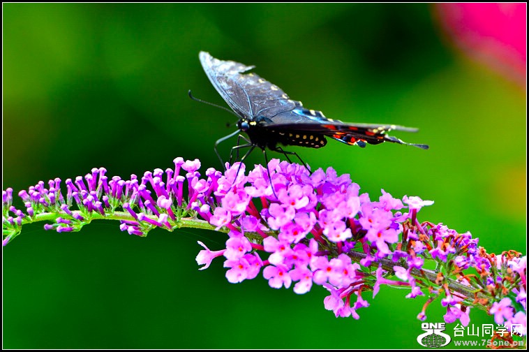 DSC_4013.jpg