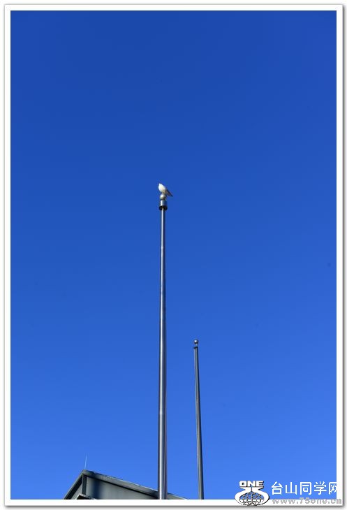 nEO_IMG_DSC_7560.jpg