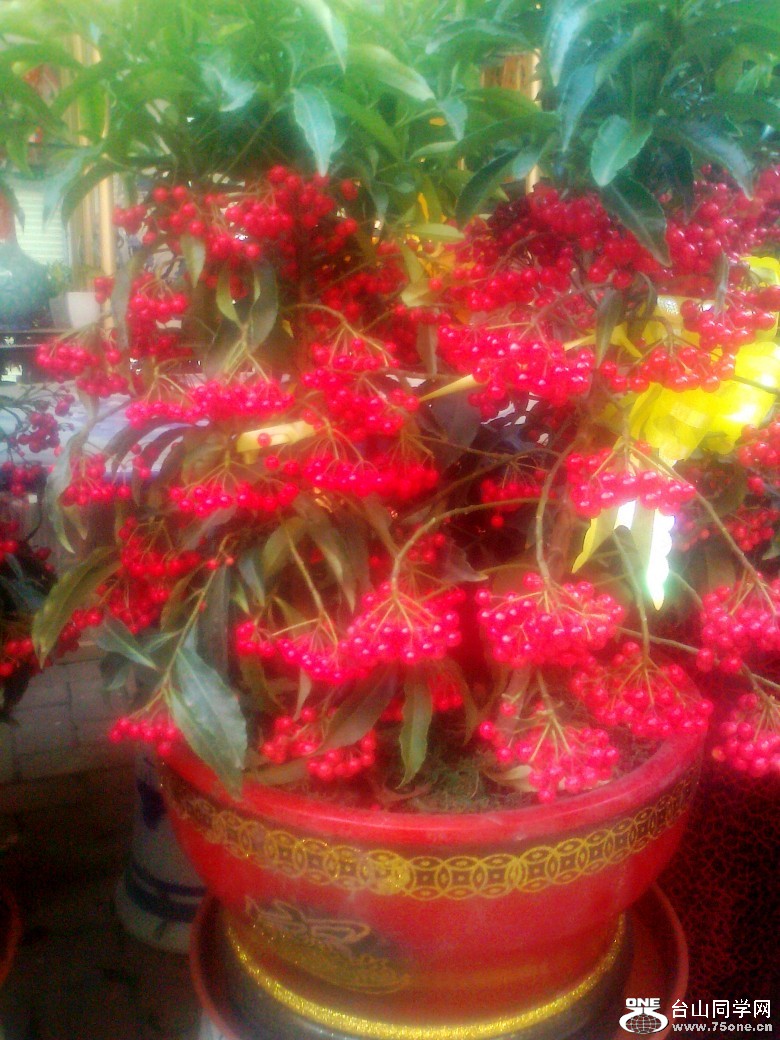 ��Ƭ0389_conew2.jpg