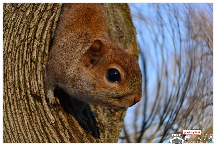 DSC_3368.jpg