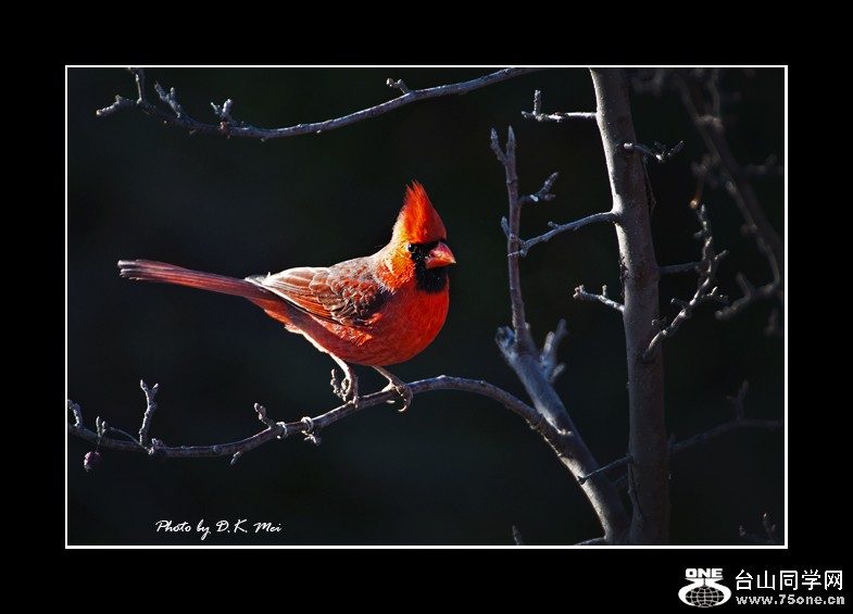 DSC_0117B.jpg