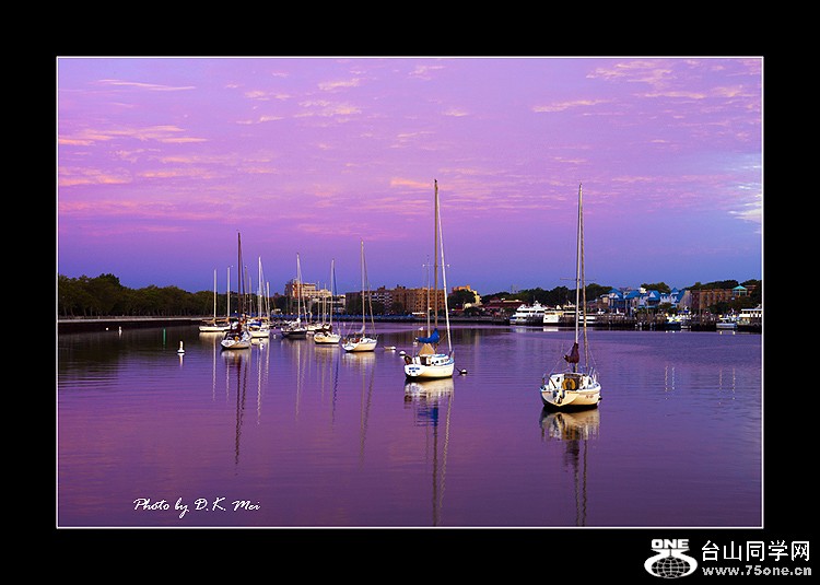 DSC_5104C1.jpg