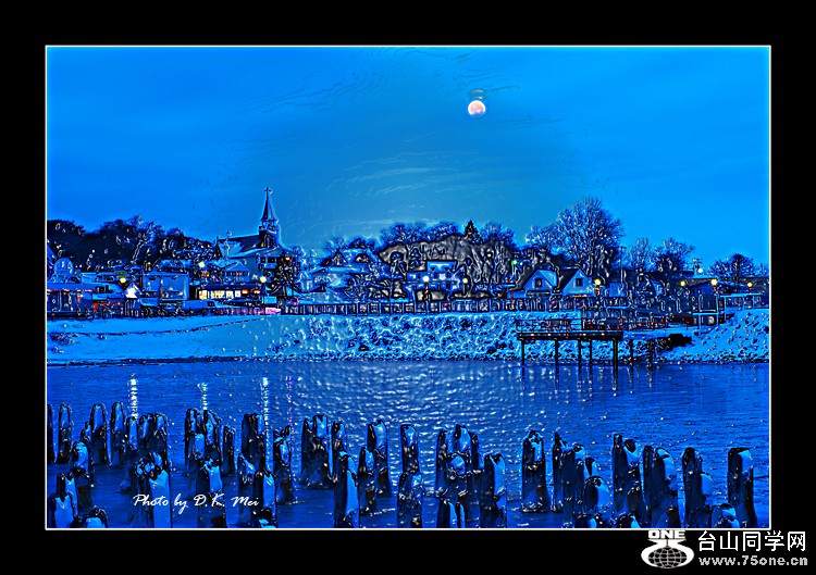 DSC_7375E1.jpg