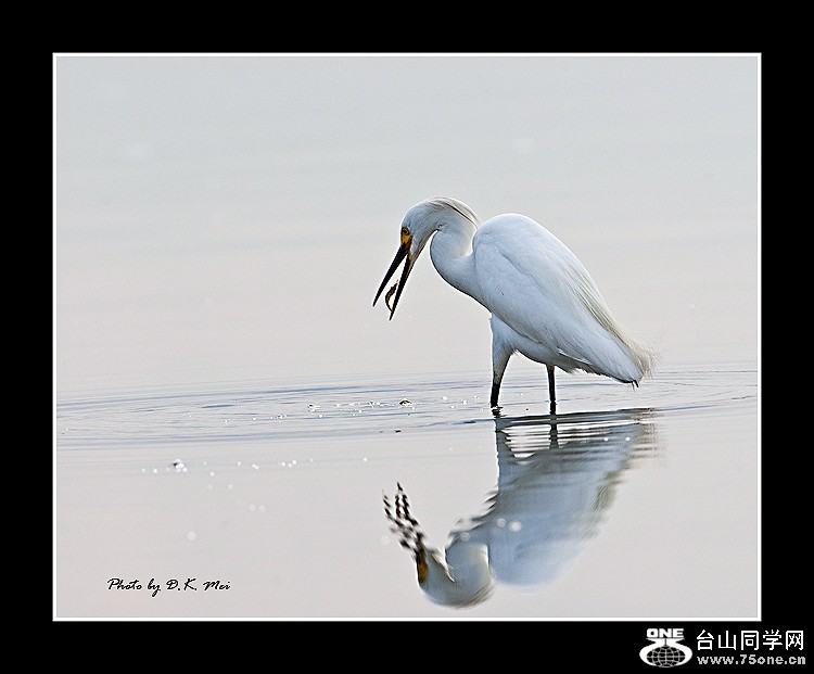 DSC_0751C.jpg